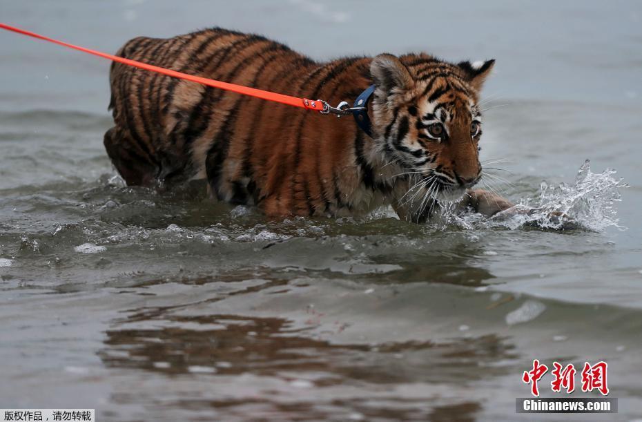 ????? ????? ??? ??? ???? ????? ????