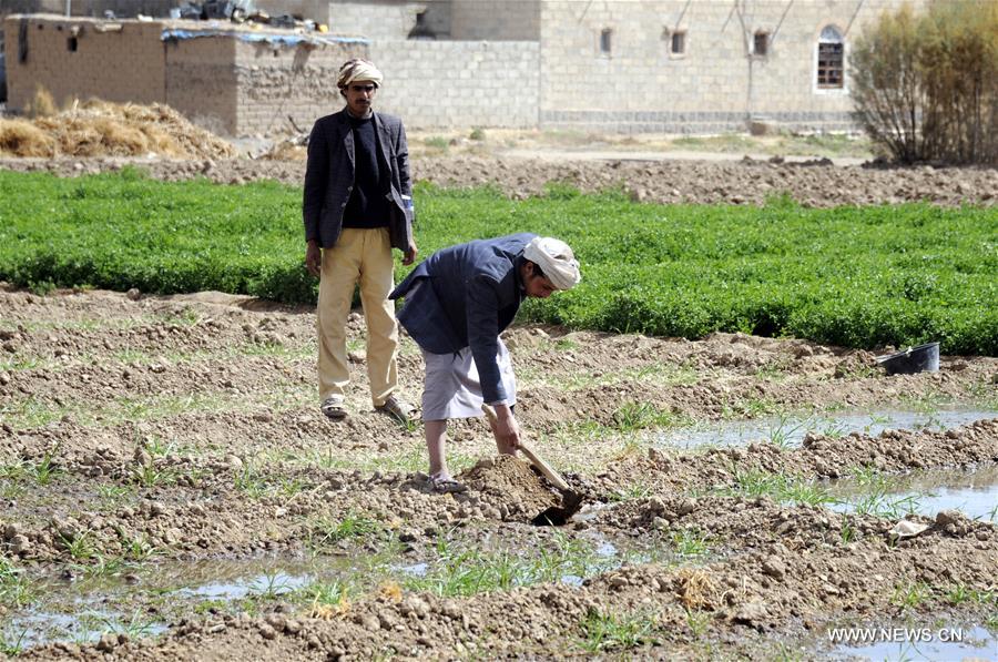 ????? ???????: 14 ????? ??? ?? ????? ?????? ?? ?????? ????? ???????