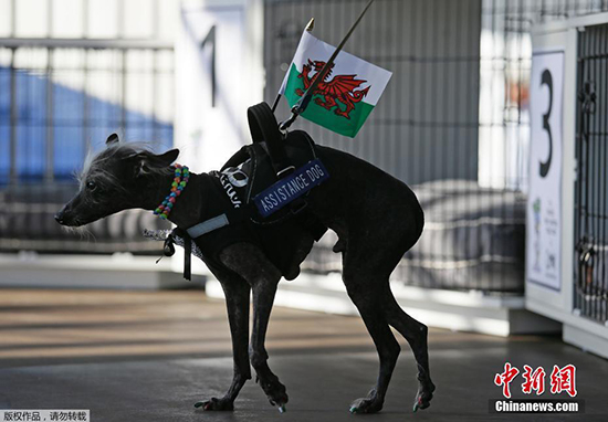 ????.. ???? ??? ?? ?????? ?? ??? 2017