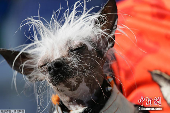 ????.. ???? ??? ?? ?????? ?? ??? 2017