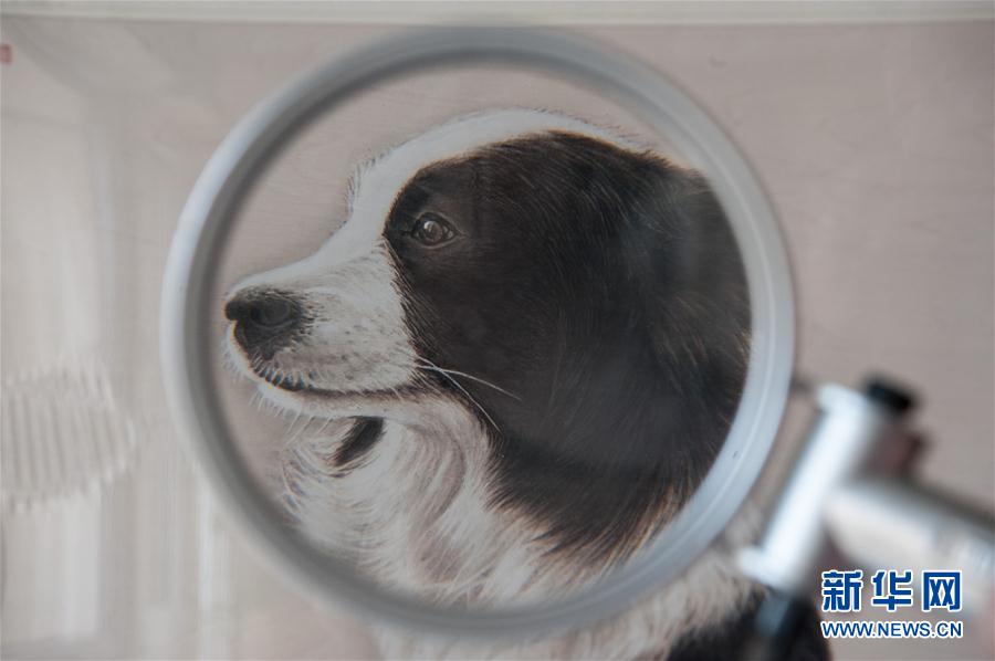 ?????? ???????? ????????.. ?? ???? ????