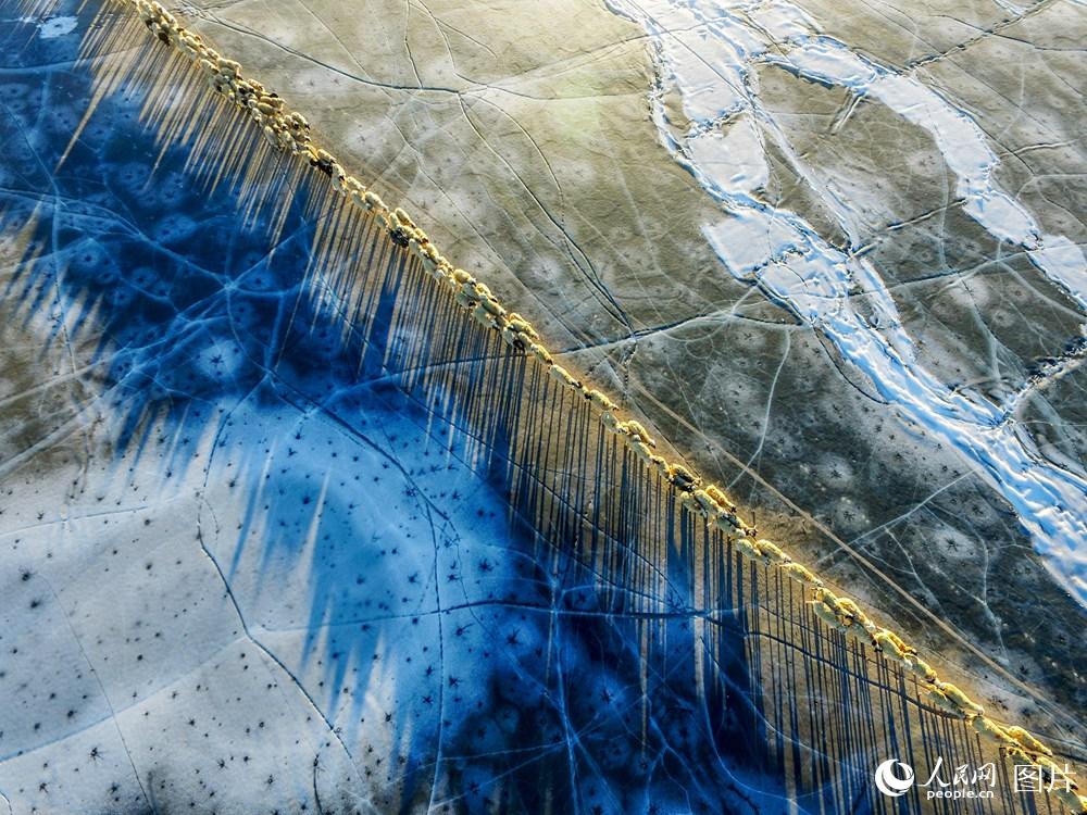 ?????? ...???? ??????? ?? ????? 