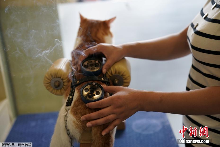 ????? ???? ???? ????? ?????? ????????? ??????? ?? ???????