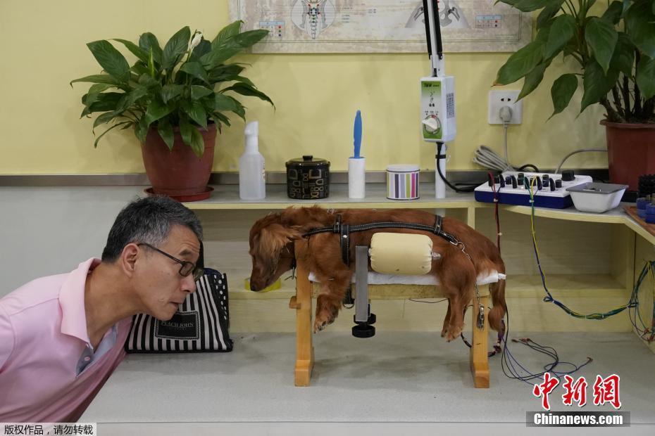 ????? ???? ???? ????? ?????? ????????? ??????? ?? ???????