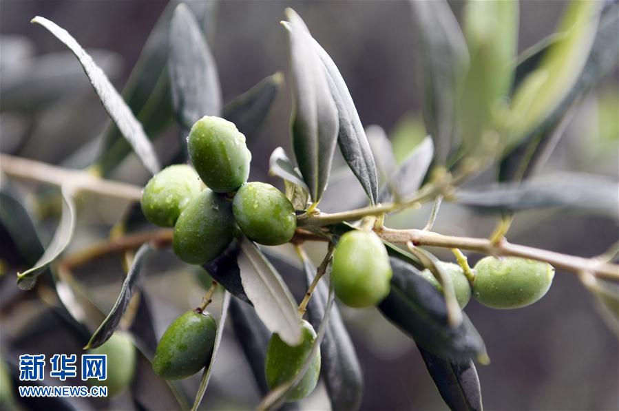 ??????? ????? ???????? ?? ????? ??? ?????? ?? ?????