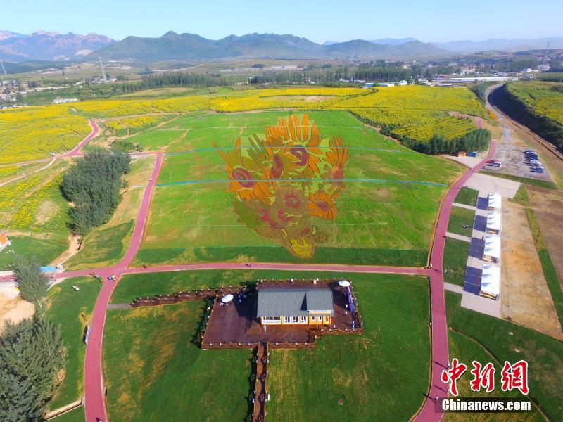 ??????: ???? ??? ??? ?????? ??? ??? ???? ?????