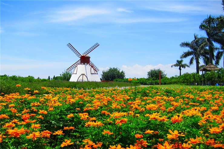 ????????..????? ?????? ???????? ??????? ?????? ????? ????????