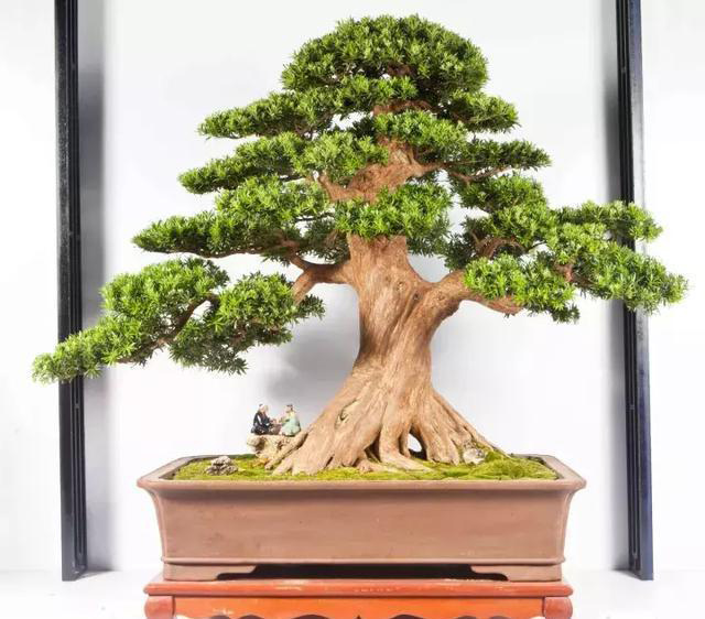 ??????: ???? ??????? ???????? ?? ?????? ?? ?????????