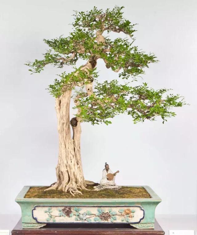 ??????: ???? ??????? ???????? ?? ?????? ?? ?????????