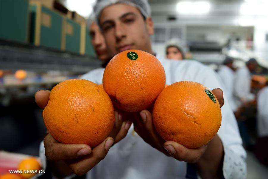 ??? ???? ???? ???? ???????? 