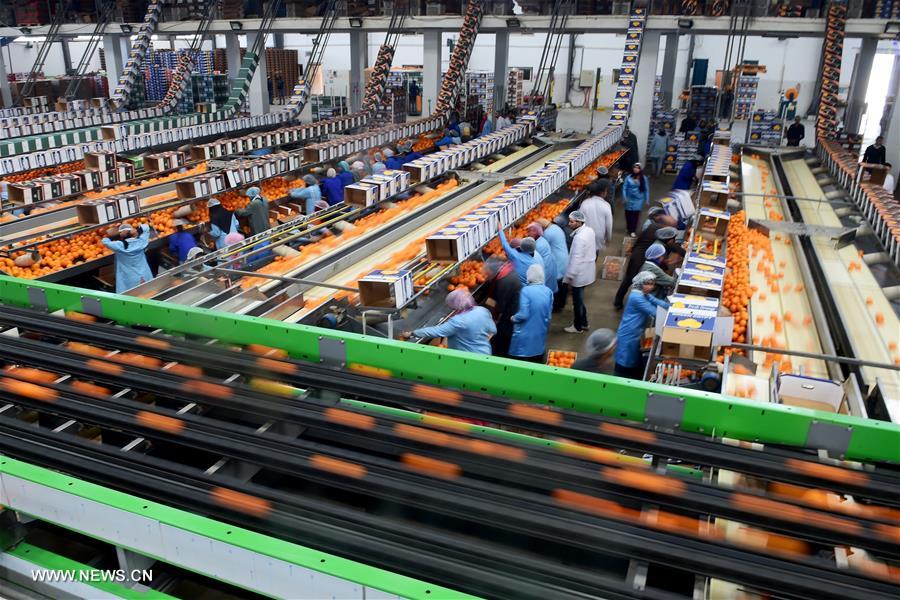 ??? ???? ???? ???? ???????? 