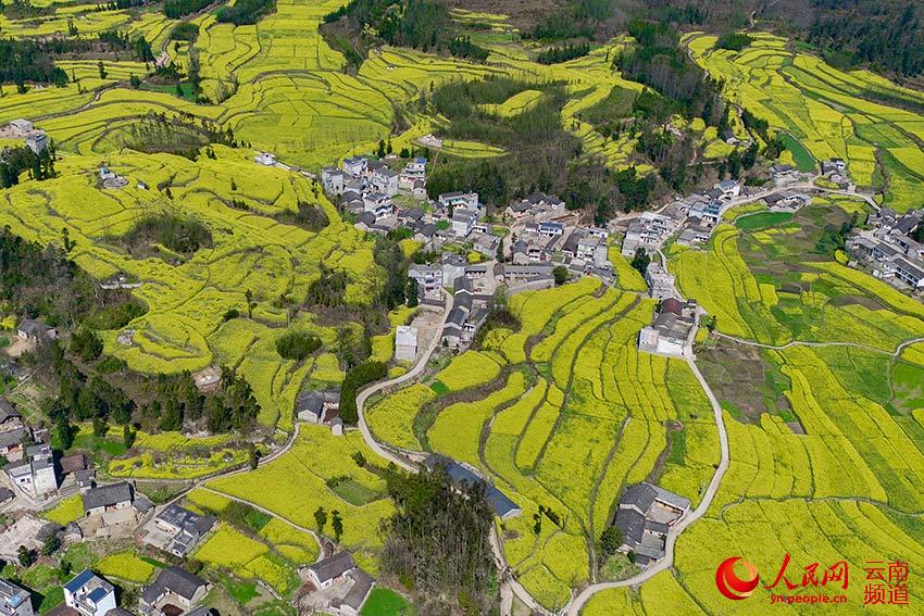 ??????: ???? ?????? ?????? ???? ???? ????? ???????