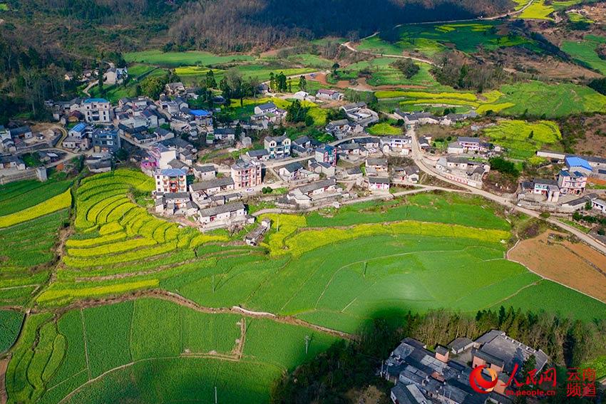 ??????: ???? ?????? ?????? ???? ???? ????? ???????