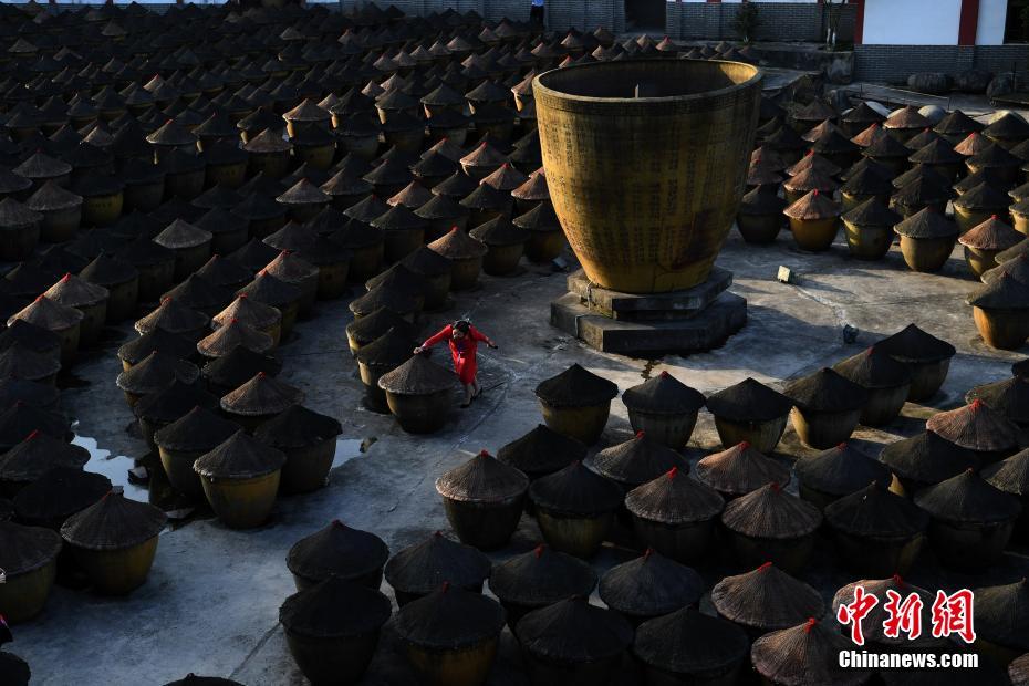 ???? ???? ????? ????? ?????? 