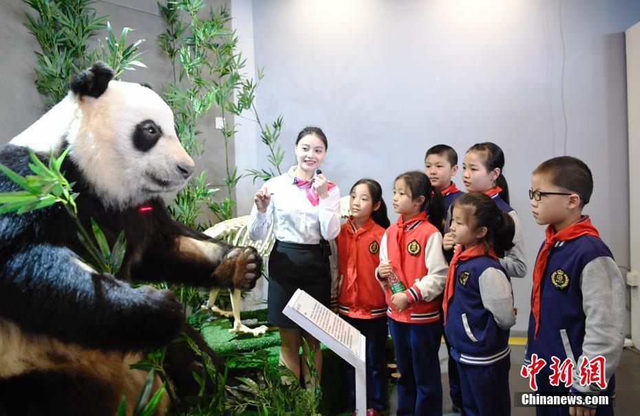 ??? ??? ???? ????? ?????? ????? ?????????? ?????? ??????? ?? ??????