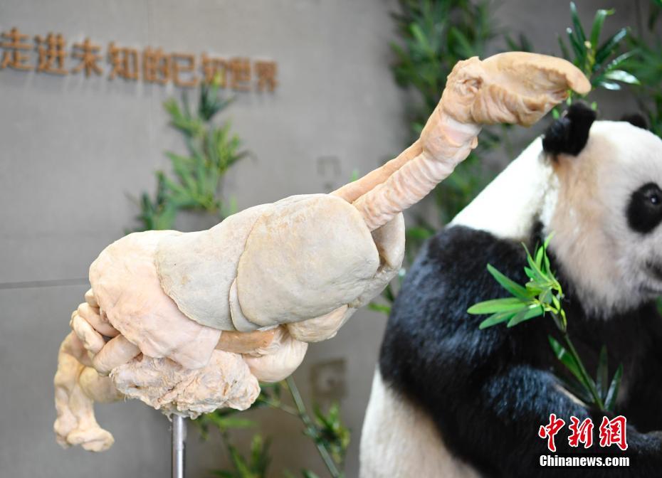 ??? ??? ???? ????? ?????? ????? ?????????? ?????? ??????? ?? ??????