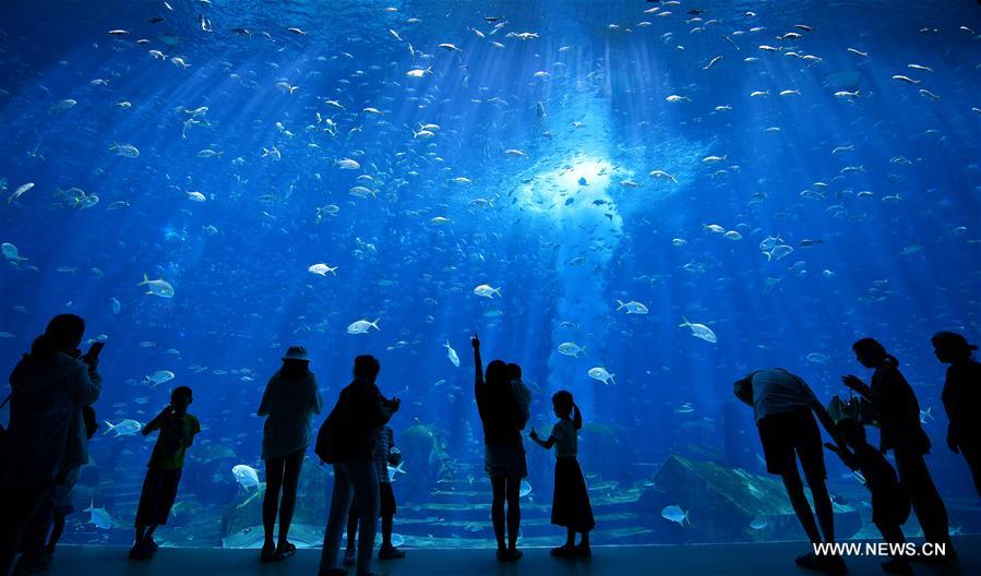 ????? ????? ??????? ???? ????? ?? ???????? ???? ???? ?????