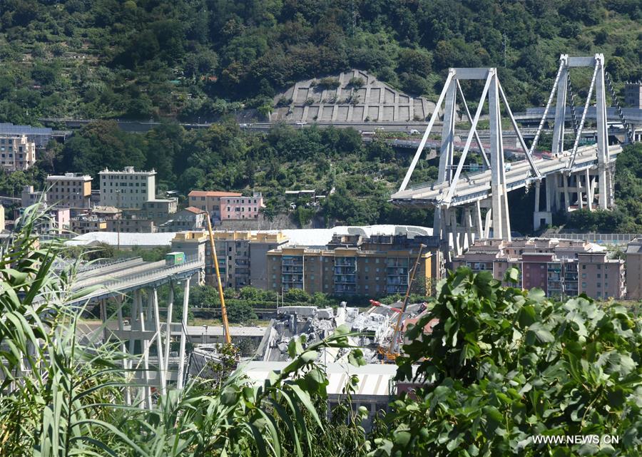 ???? ??????? : ??????? ???? ???? ??????? ?? ??????? ???????? ?? ?????? ?? ????? ?????? ??? ????