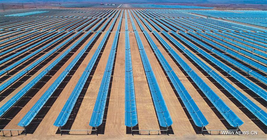 ????? ??????: ?????? ?????? ??????? ?? ?????? ????? ????? ?????? ???????