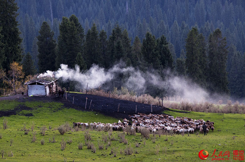 ?????? ???: ???? ???? ?????????