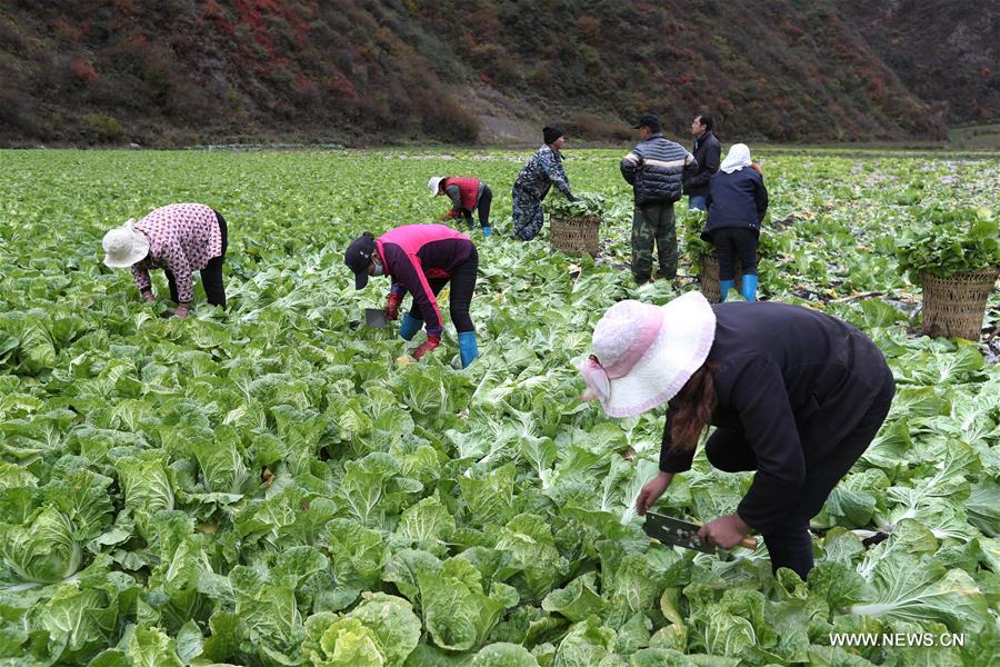 ???? ???? ??????? ?????? ?? ???? ???? ?????