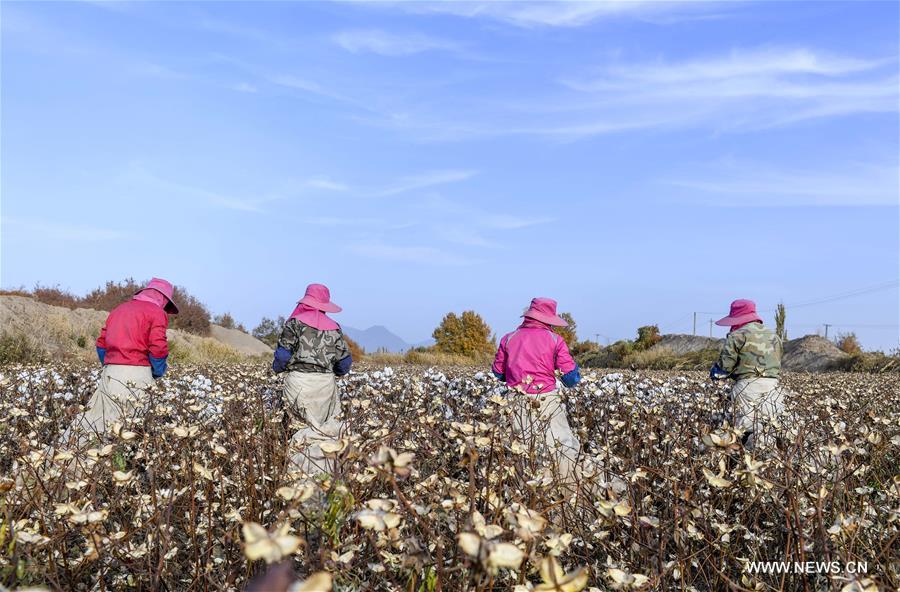 ?????? ???? ?????? ????? ?? ????? ???????? ????????? ??????? ?????