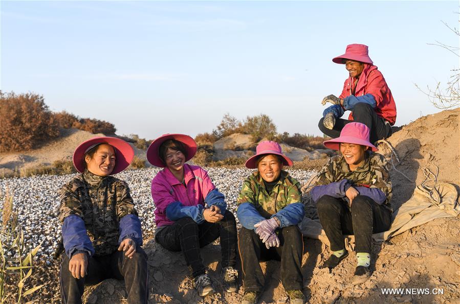 ?????? ???? ?????? ????? ?? ????? ???????? ????????? ??????? ?????