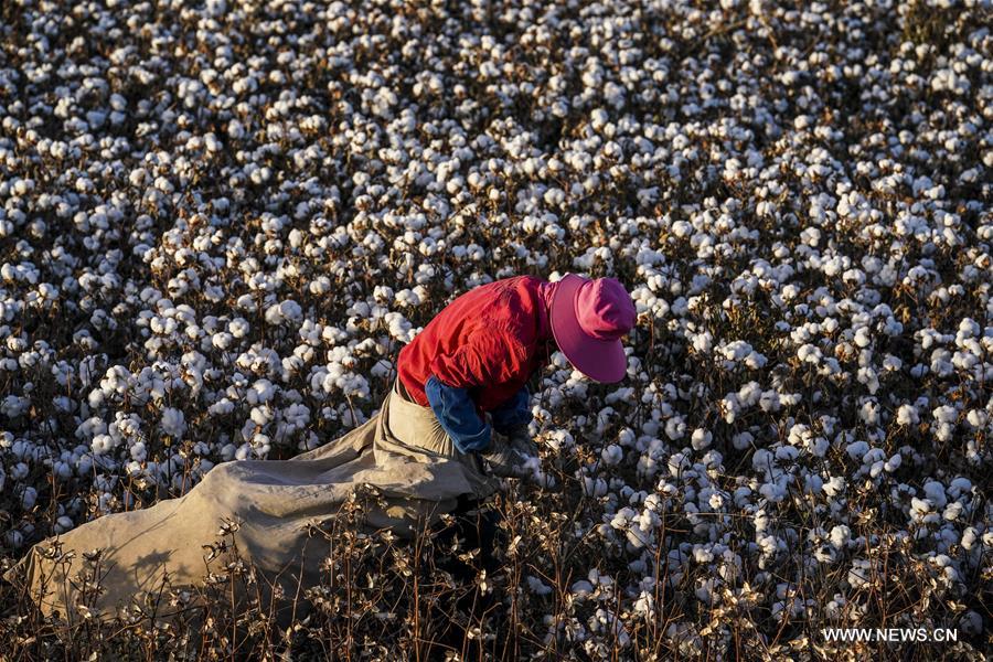 ?????? ???? ?????? ????? ?? ????? ???????? ????????? ??????? ?????