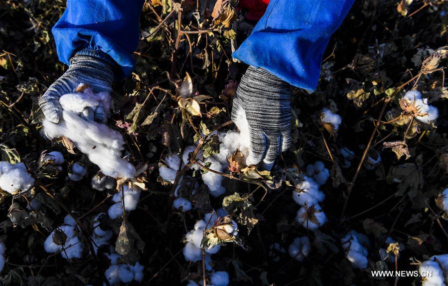 ?????? ???? ?????? ????? ?? ????? ???????? ????????? ??????? ?????