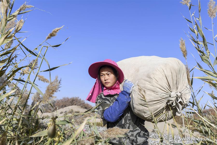 ?????? ???? ?????? ????? ?? ????? ???????? ????????? ??????? ?????