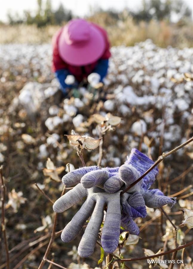 ?????? ???? ?????? ????? ?? ????? ???????? ????????? ??????? ?????