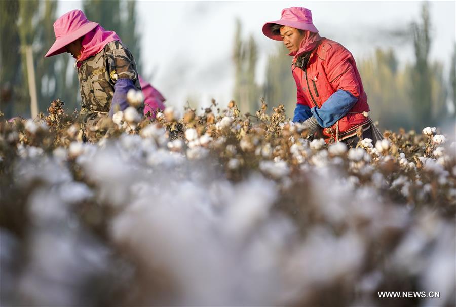 ?????? ???? ?????? ????? ?? ????? ???????? ????????? ??????? ?????