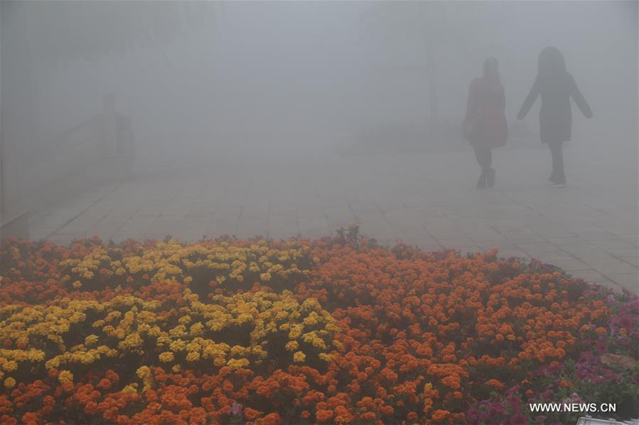 ???? ????? ???? ???? ????? ?????