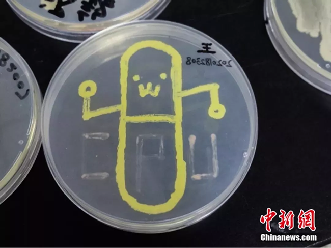 ???? ?????? ?????? ??????????