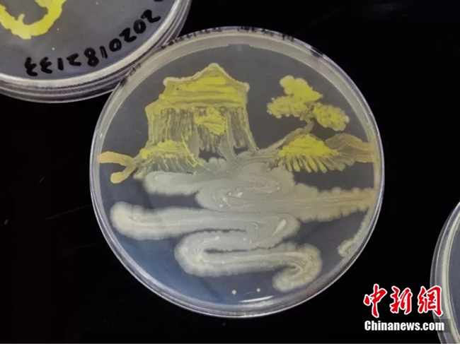 ???? ?????? ?????? ??????????