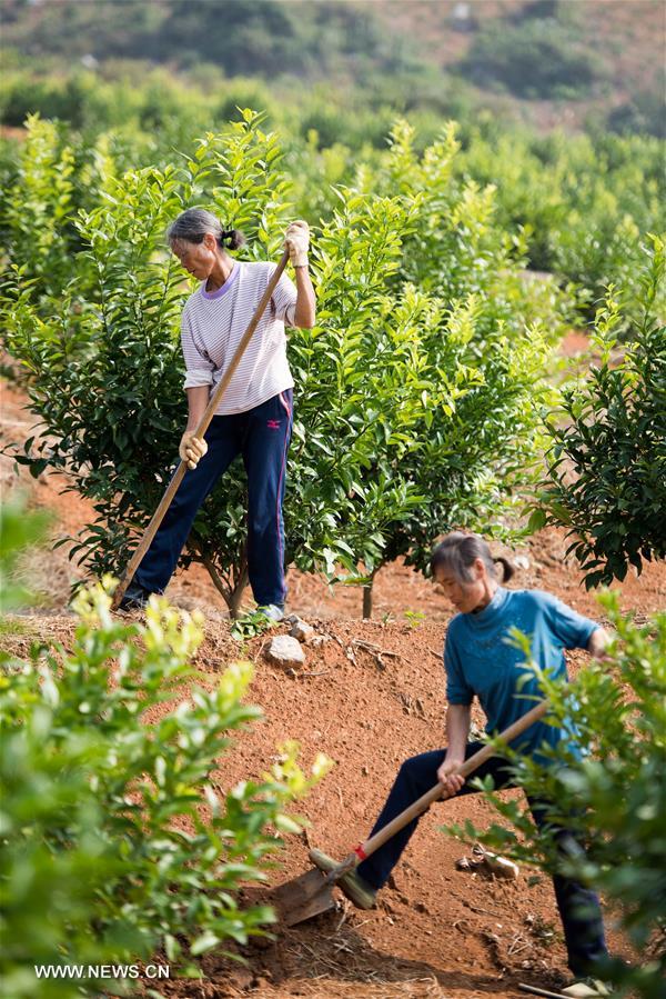 ????? ????? ??????? ?????? ??? ????? ?? ???? ????? ??????? ??????? ?????