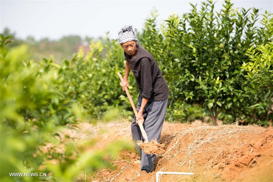 ????? ????? ??????? ?????? ??? ????? ?? ???? ????? ??????? ??????? ?????