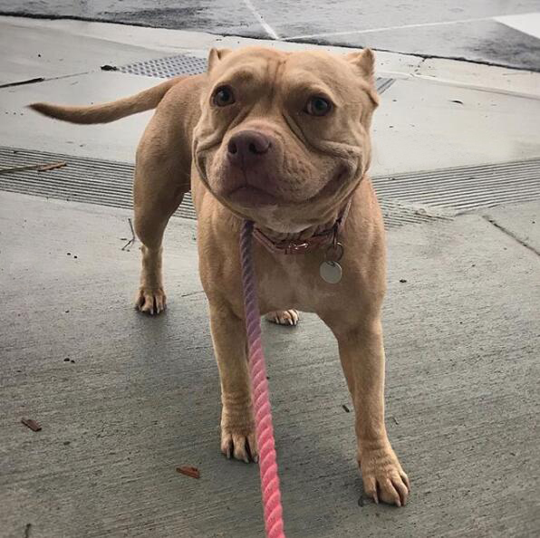 ??? ?????: ???? ?????? ??????