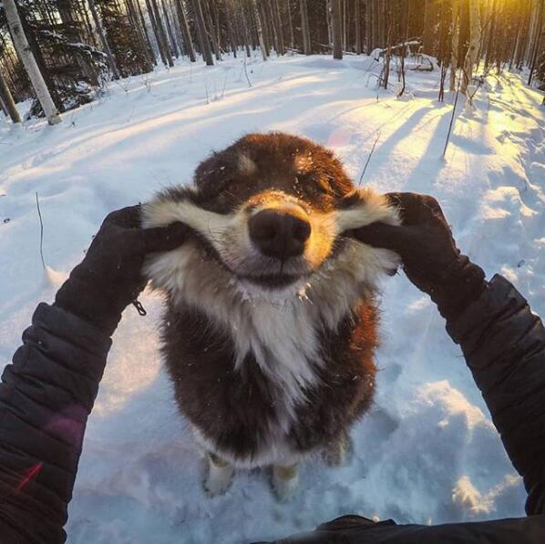 ??? ?????: ???? ?????? ??????