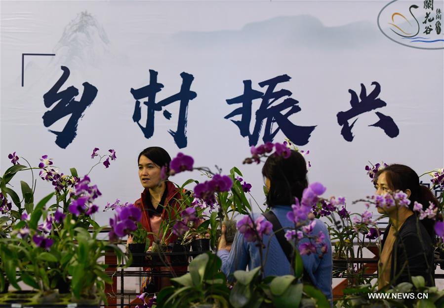 11.2 ????? ????? ?????? ???? ??????? ??????? ?? ???? ????? ???????? ?????????? ?????? ?????