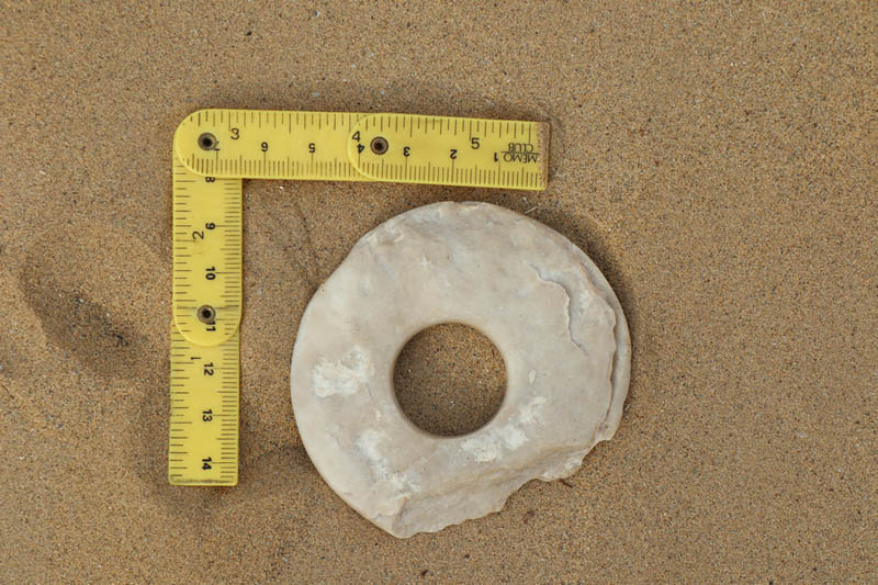 ??????: ???????? ????? ????? ????? ?? ????????