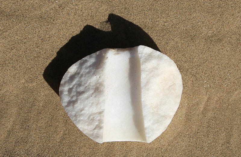 ??????: ???????? ????? ????? ????? ?? ????????