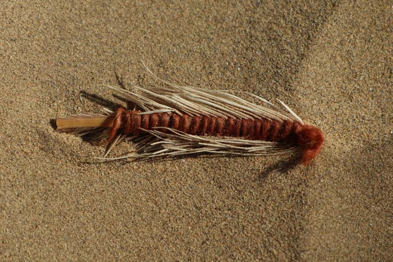 ??????: ???????? ????? ????? ????? ?? ????????