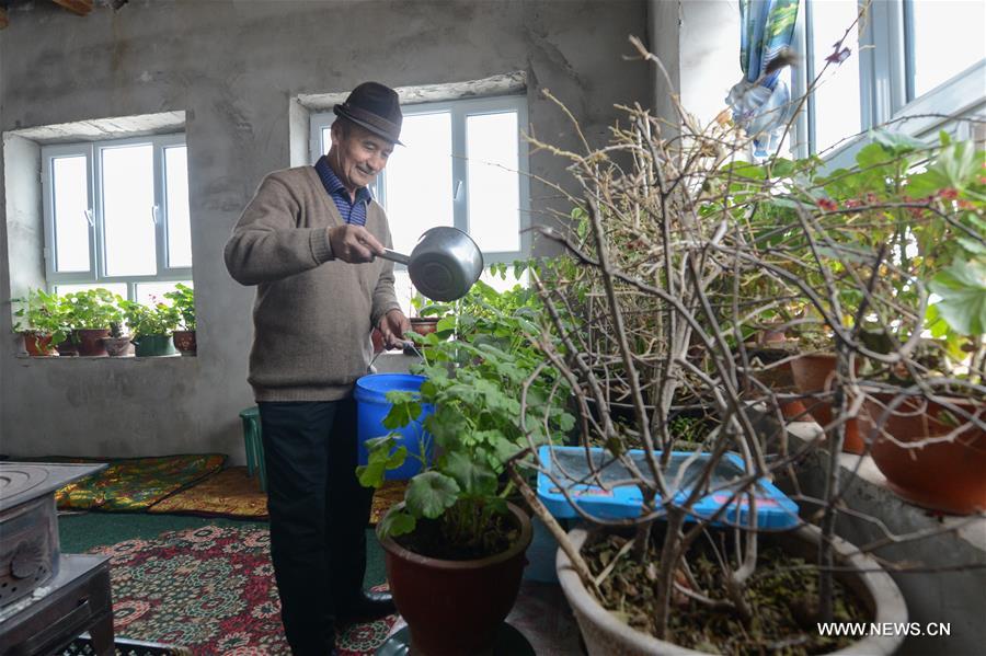 ???????? ????? 537 ??? ??? ?? ????? ????? ??????