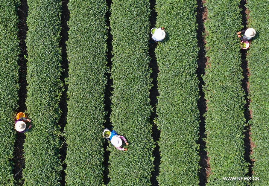 ????? ????? ????? ??? ????? ????? ?? ?????? ?????? ???? ?????