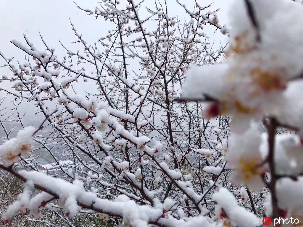 ????? ????? ?????? ??? ???? ?? ??? ??????