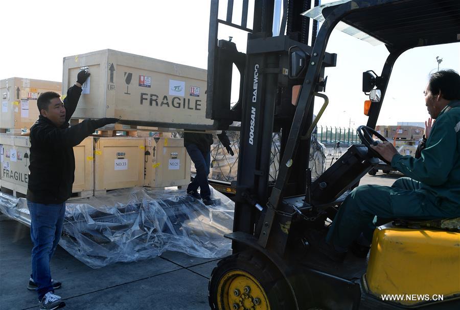 ???? 796 ???? ?? ?????? ???????? ??????? ??? ????? ?? ???????