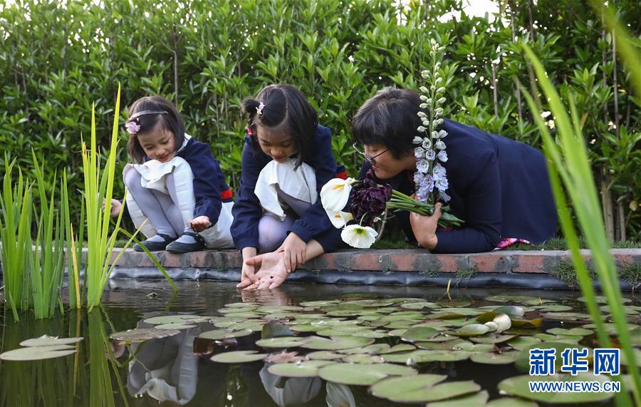 ?? ????? ???? ????? ?????? ???????? 