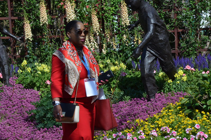 ???? ???? ?????? ??????? :?????? ??? ????? ???? ?? ???? ???????