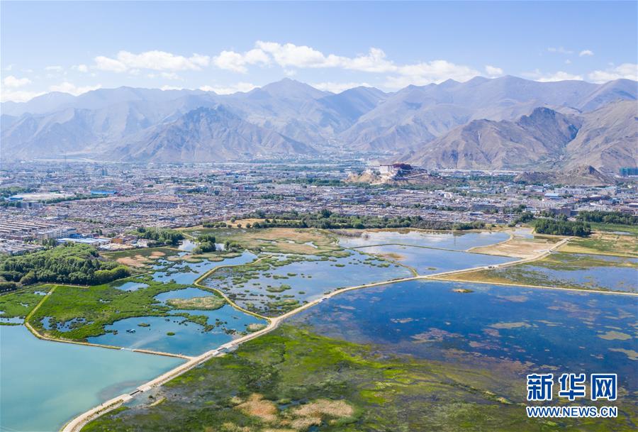 ????? ???? ???? ????? ?????? ?????